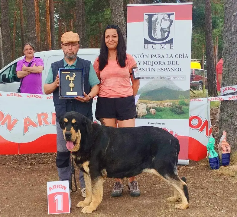 Solea de la Reguera se impone en el hist&oacute;rico concurso de Mast&iacute;n Espa&ntilde;ol de Camposagrado.