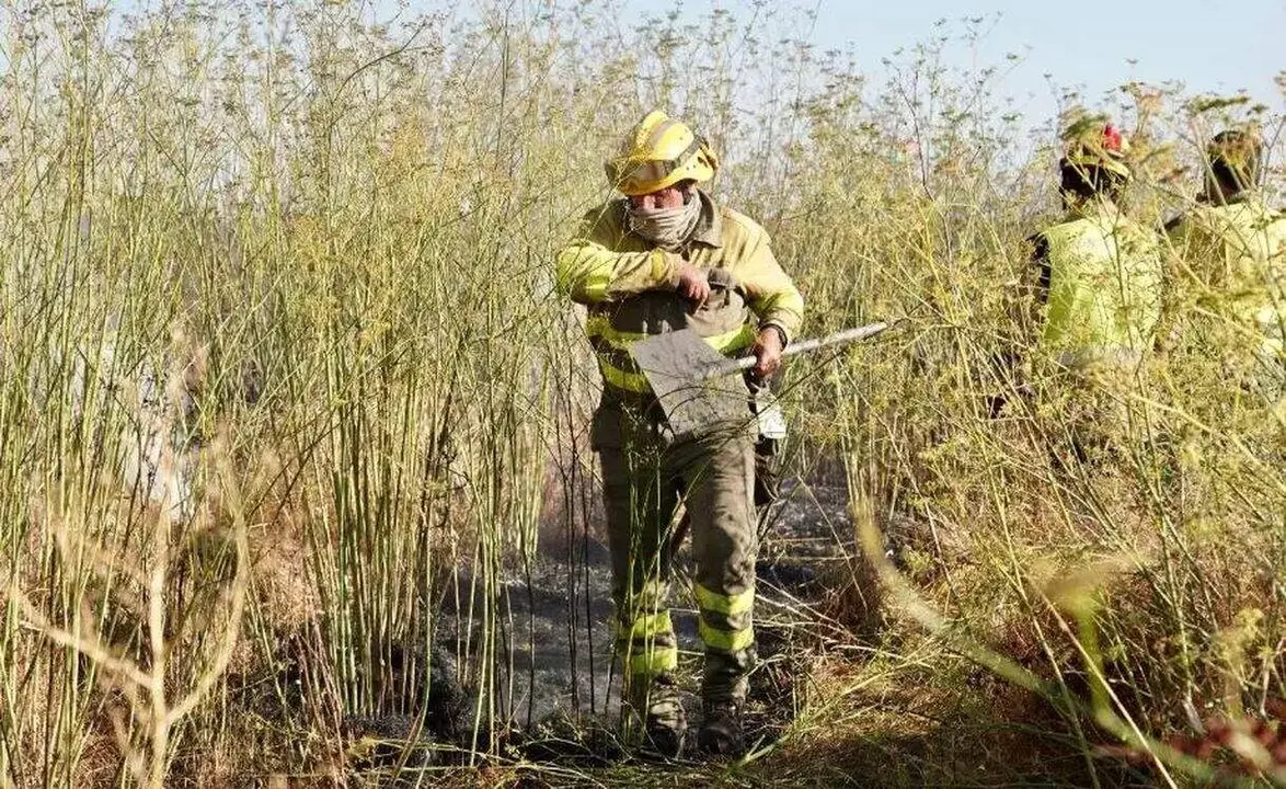bombero forestal