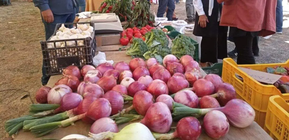 feria agropecuaria