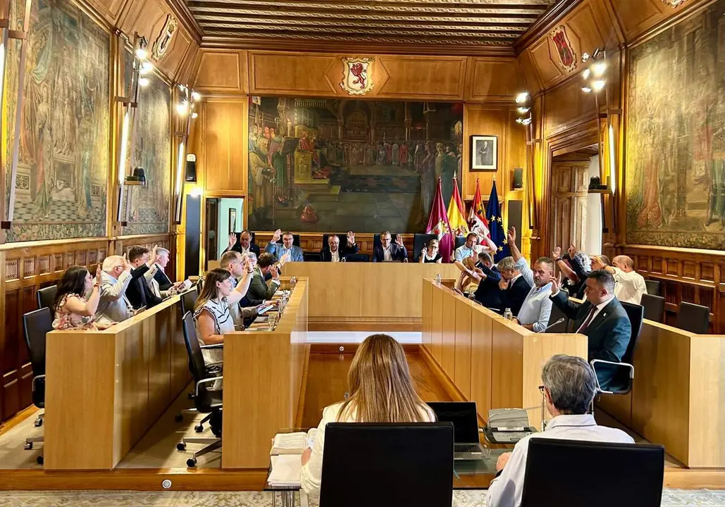 El pleno de la Diputaci&oacute;n aprueba uno de los puntos del orden del d&iacute;a.