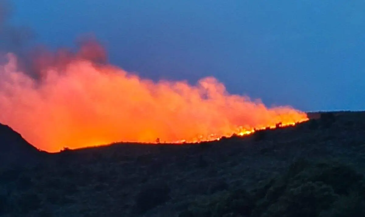Imagen de uno de los 18 incendios provocados en la provincia de Le&oacute;n por el efecto de los rayos.