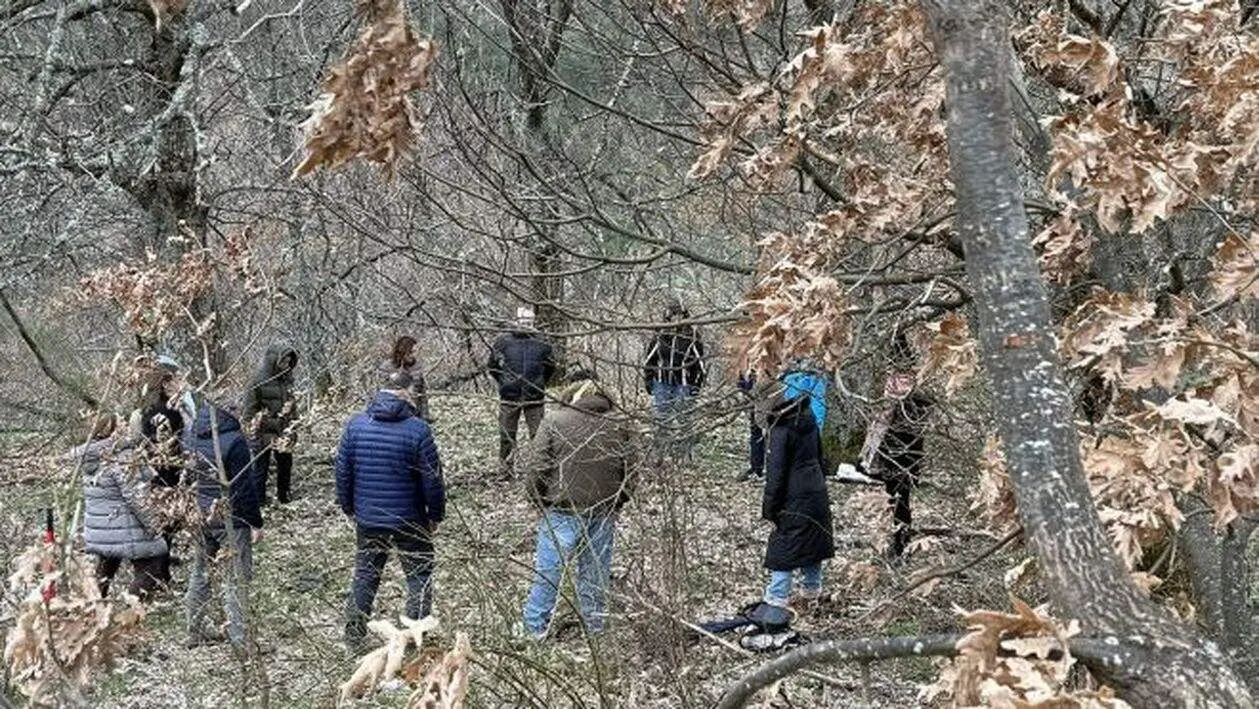 Ba&ntilde;o de bosque