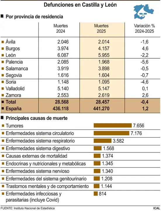 Defunciones y causas en Castilla y Le&oacute;n con datos provinciales.
