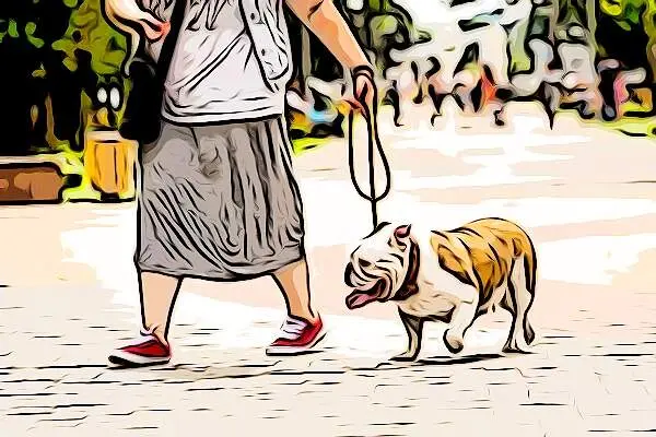 depositphotos_419161620-stock-photo-owner-walking-with-the-english_AnyMaking (1)