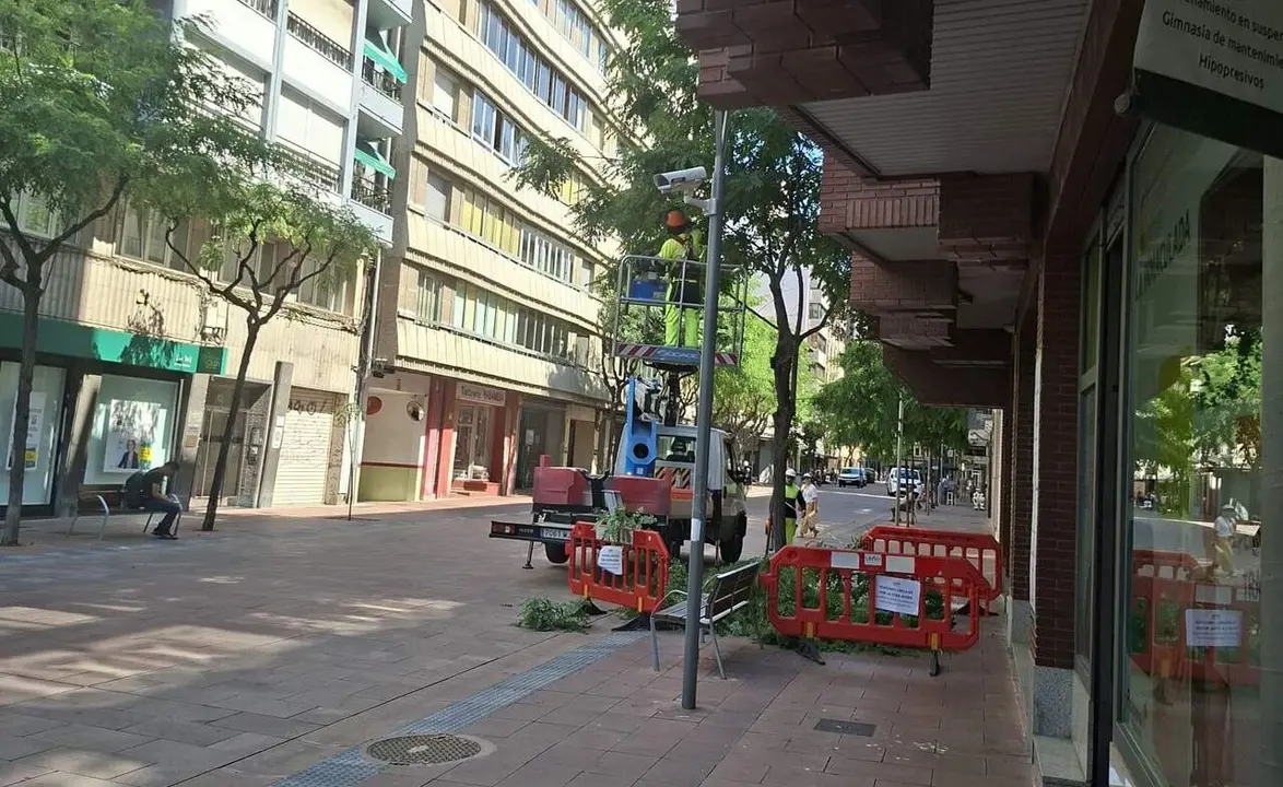 poda arboles
