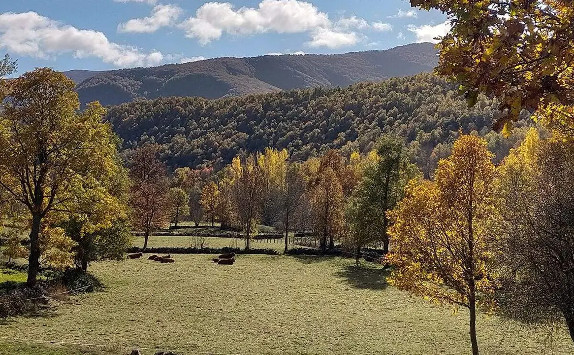 Sosas de Laciana