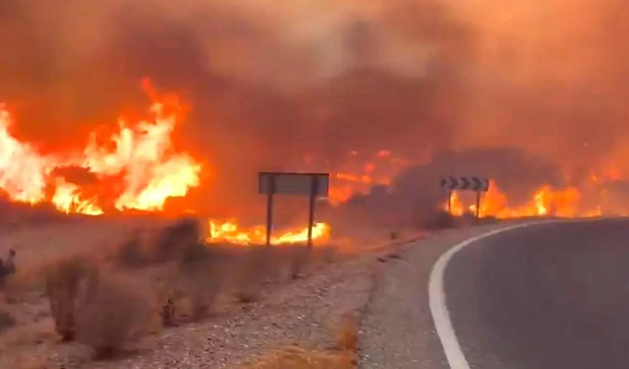 Imagen del fuego devorando parte de la carretera en Los Gallardos.