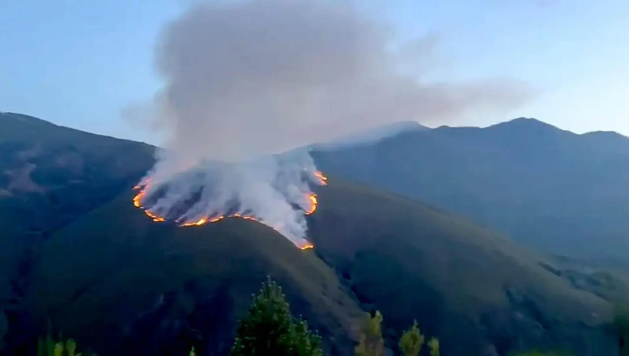 Incendio en la localidad de Gu&iacute;mara visto desde un monte pr&oacute;ximo.