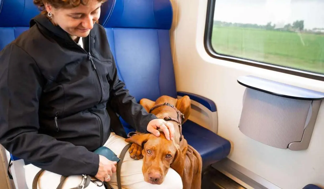 Renfe