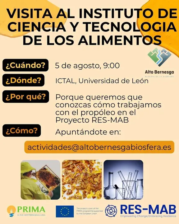 Imagen del cartel promocional de la actividad.