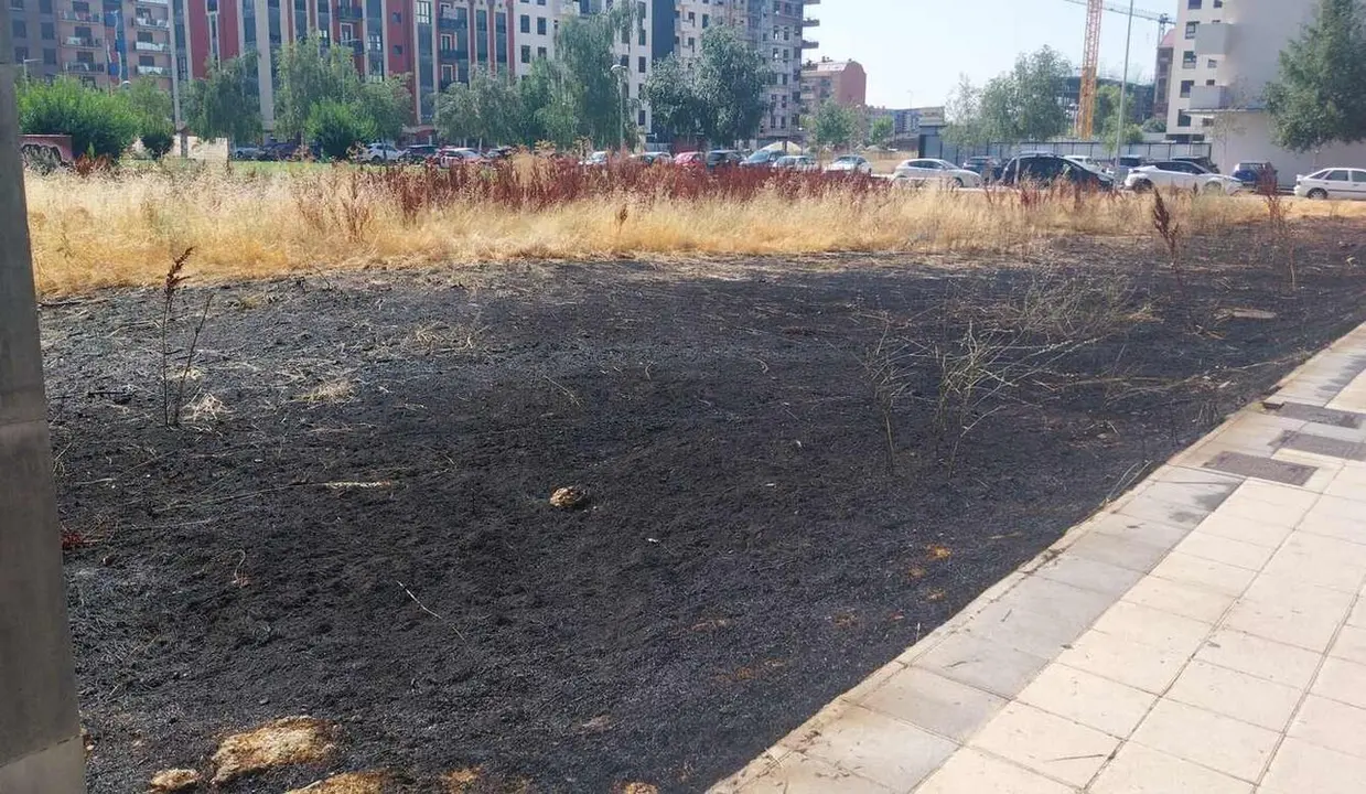 Imagen de una parte de la zona calcinada por las llamas en el barrio de La Lastra, en Le&oacute;n capital.
