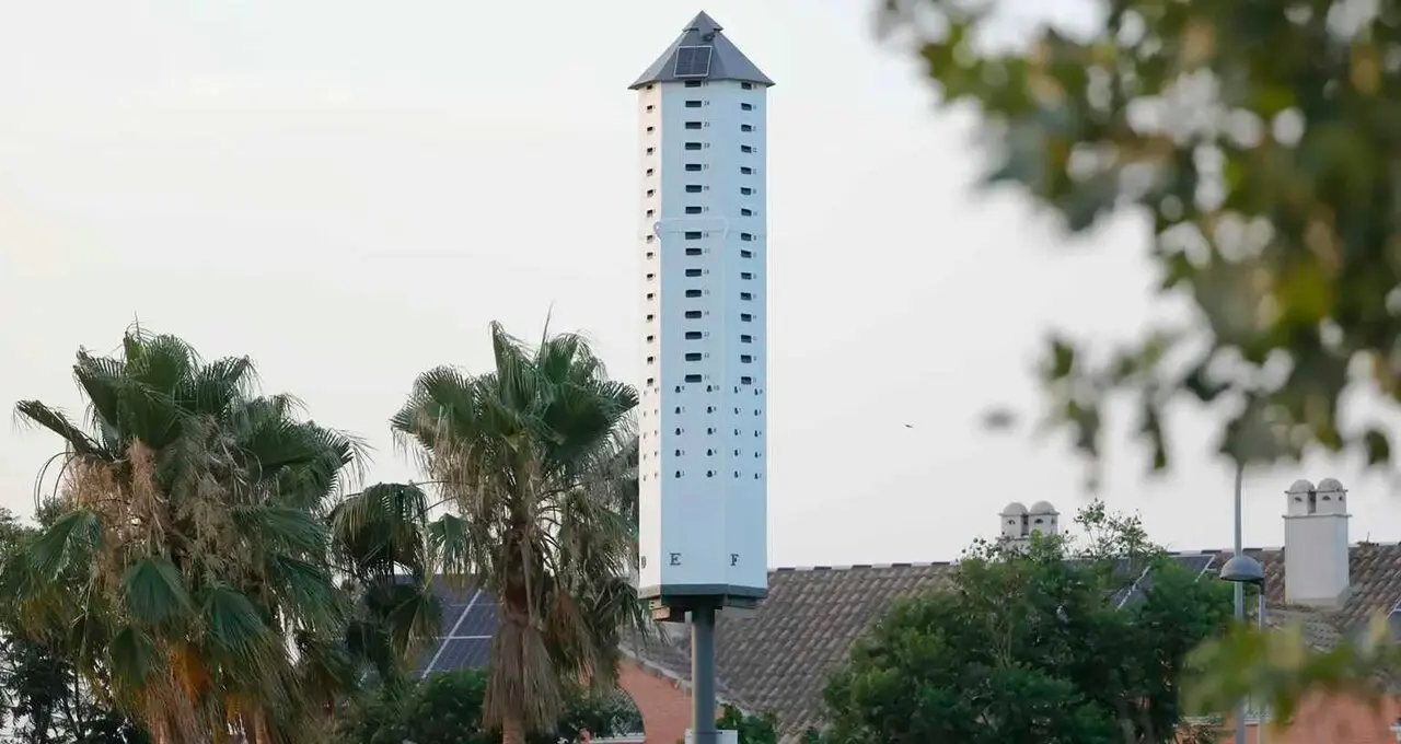 torre-biodiversidad-Coria