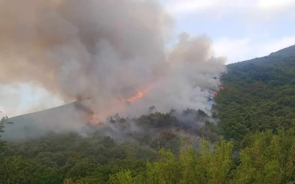 Imagen del incendio en la localidad de Quintela.