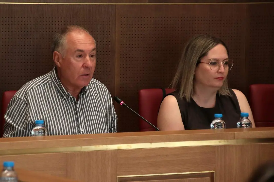 L&oacute;pez Sendino, este viernes, durante su intervenci&oacute;n en el pleno.