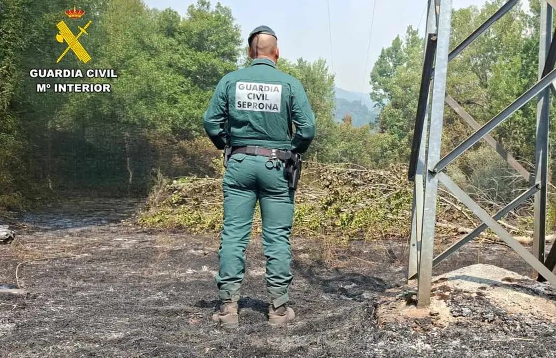 Un Guardia Civil del Seprona en el lugar del origen del incendio.