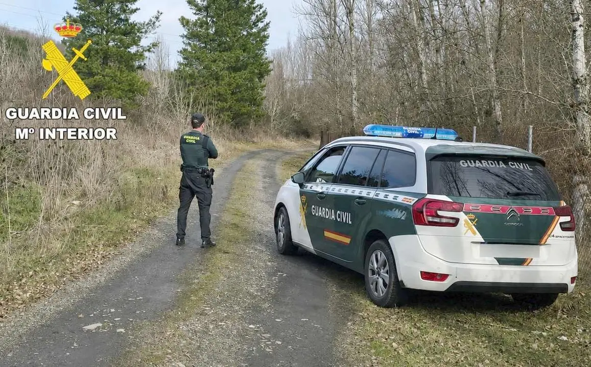 Efectivos de la Guardia Civil durante un operativo de b&uacute;squeda.