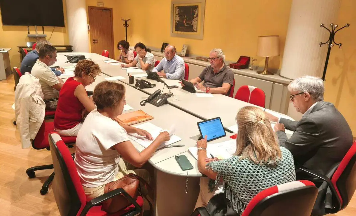 Comisi&oacute;n de Patrimonio