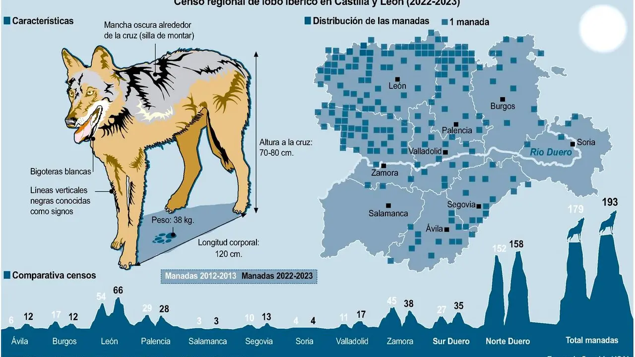 Censo regional de lobo ib&eacute;rico, cuyo epicentro se encuentra en la provincia de Le&oacute;n.