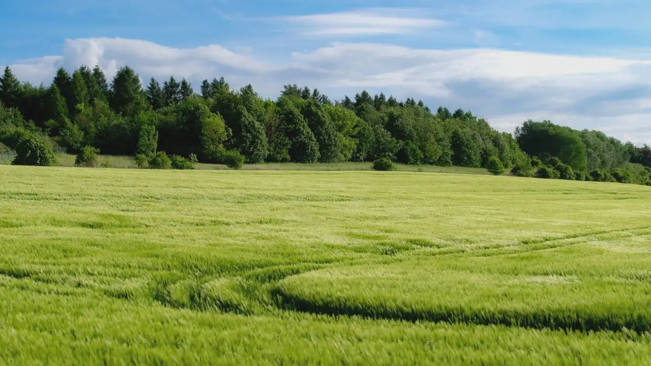 El sector agrario leonés pierde cada año explotaciones