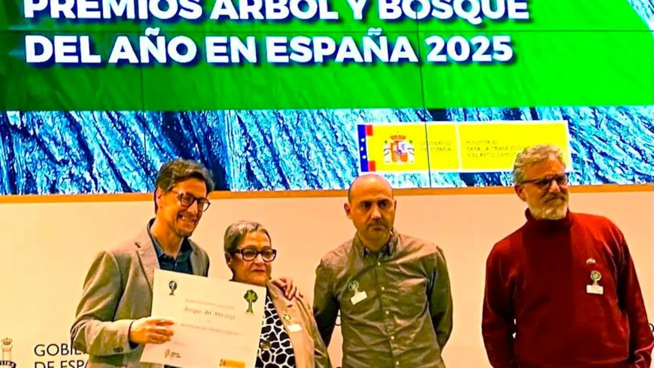 Premios 'Árbol y Bosque del Año en España 2025'.