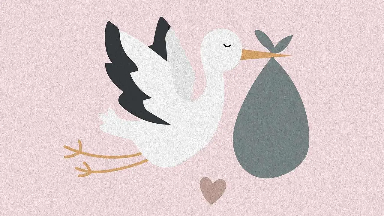 León alcanza las 2.952 prestaciones por nacimiento.