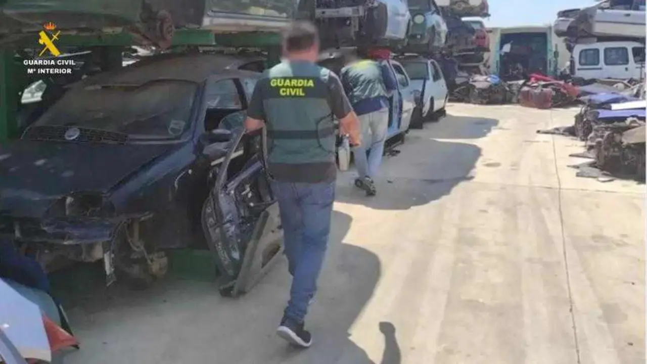 Imagen de una de las intervenciones realizados por los equipos Seprona de la Guardia Civil.