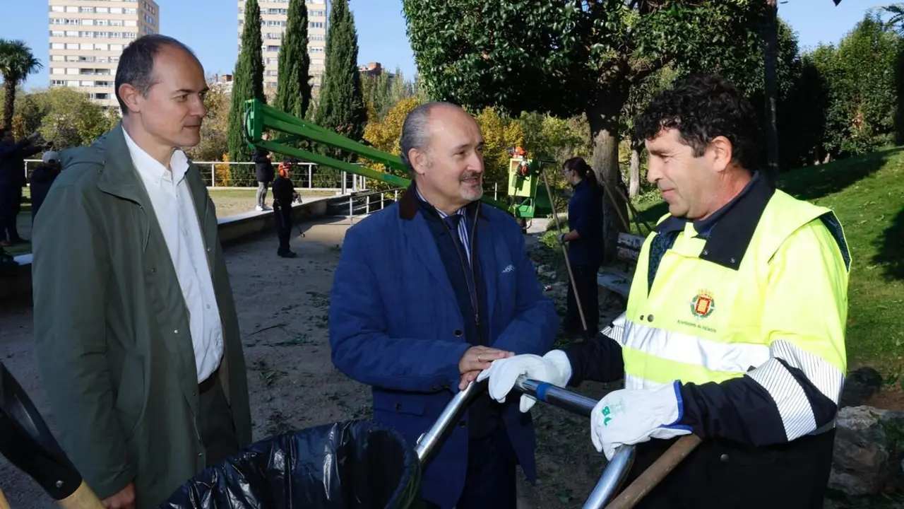El Ayuntamiento de Ponferrada concluye la campaña de poda en 3.900 aligustres y 3.500 plátanos de sombra.