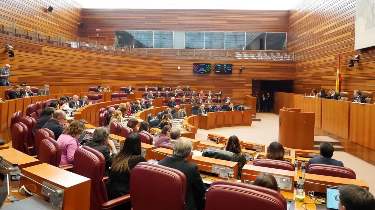 Pleno de las Cortes de Castilla y León.