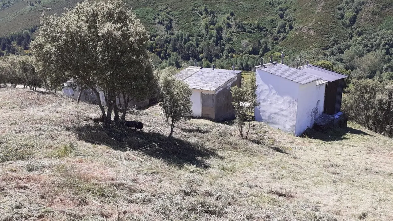 Zona de El Bierzo después de la actuación forestal del Plan Montel.