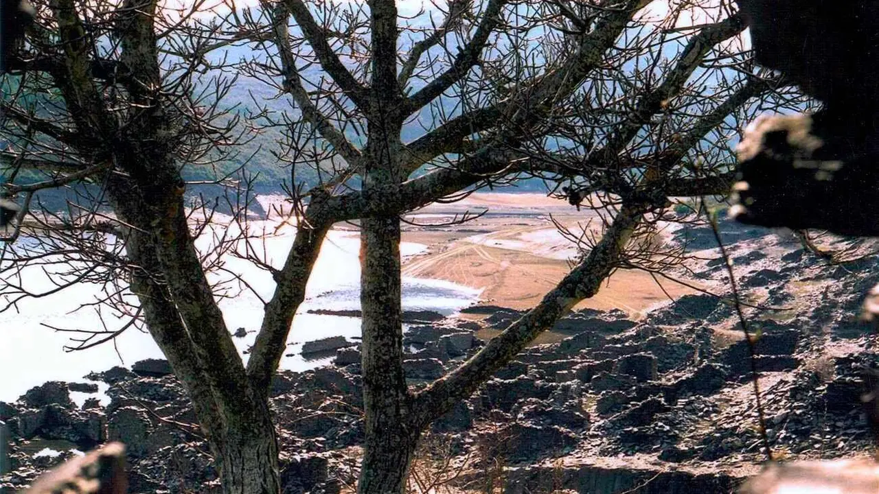 A la orilla del embalse de Villameca, en las mismas ruinas de Oliegos, se celebrará en este verano una cita extraordinaria de Versos a Oliegos, la XXV edición del encuentro cultural