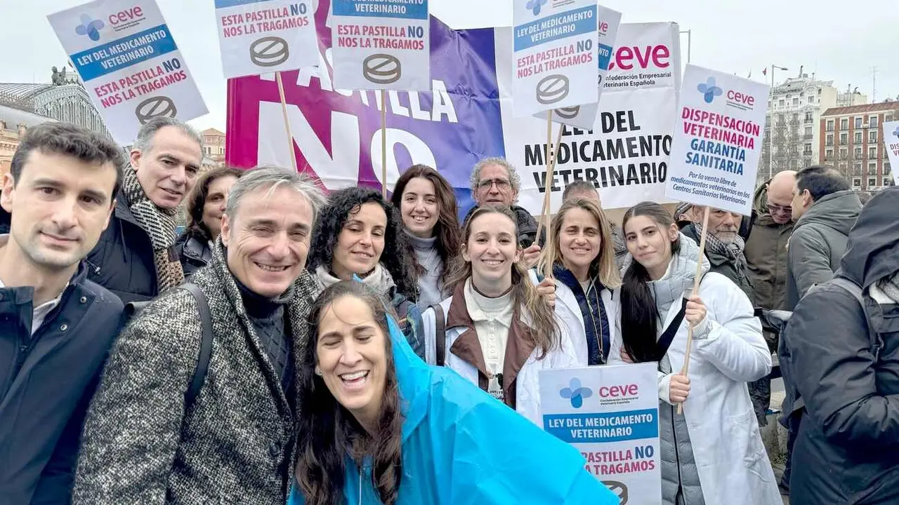Imagen de una parte de la delegación leonesa que ha acudido a Madrid.