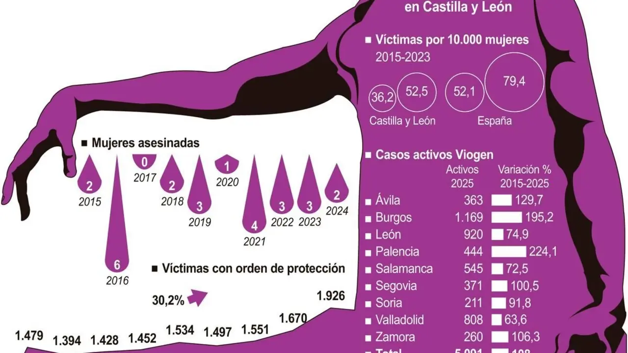Violencia de género en Castilla y León.