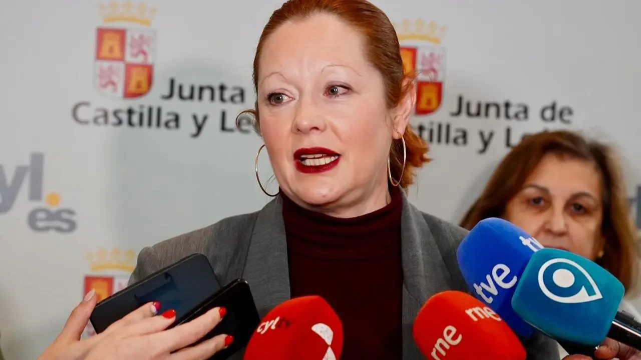 La directora general de la Agencia de Protección Civil y Emergencias, Irene Cortés. Foto: Campillo.