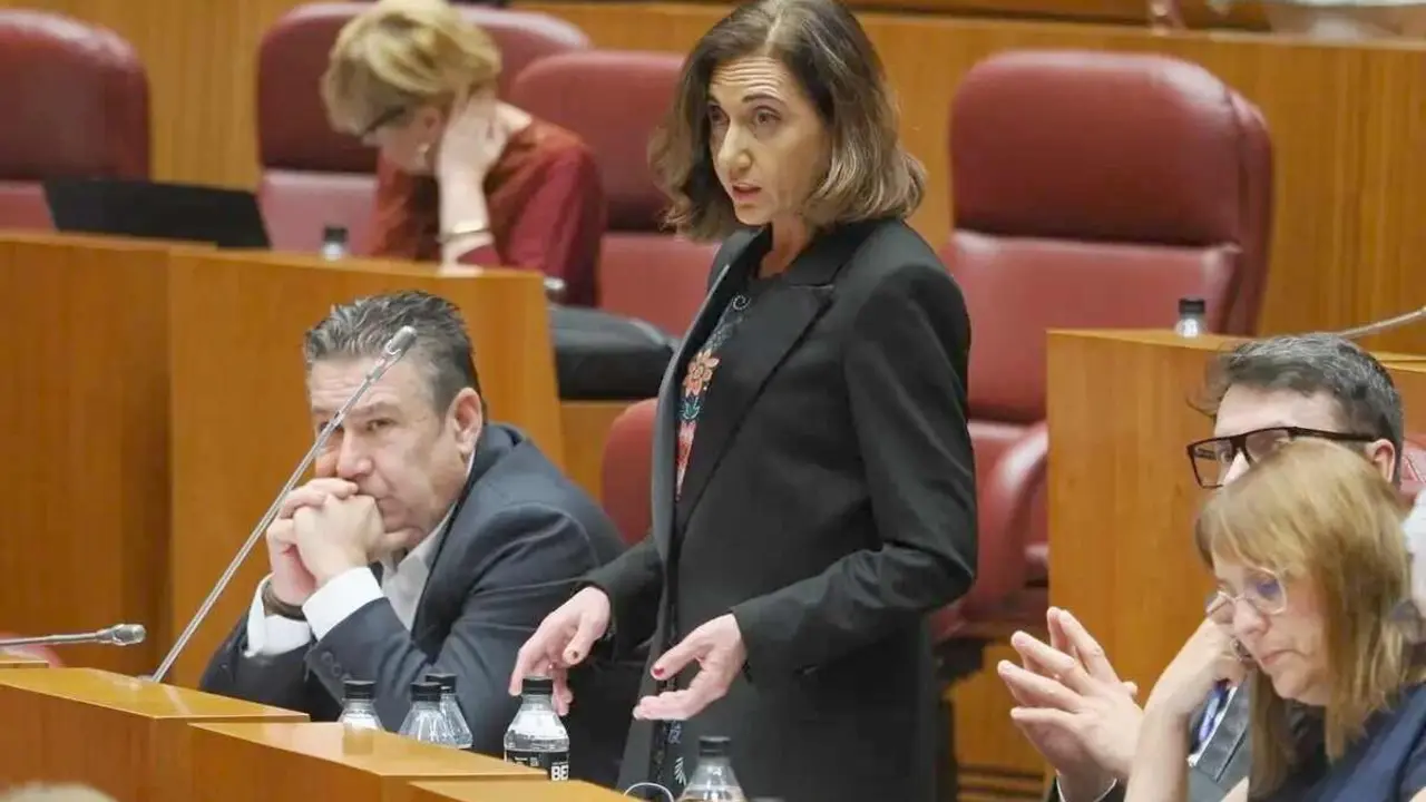 La procuradora de UPL, Alicia Gallego, durante una comparecencia en las Cortes.