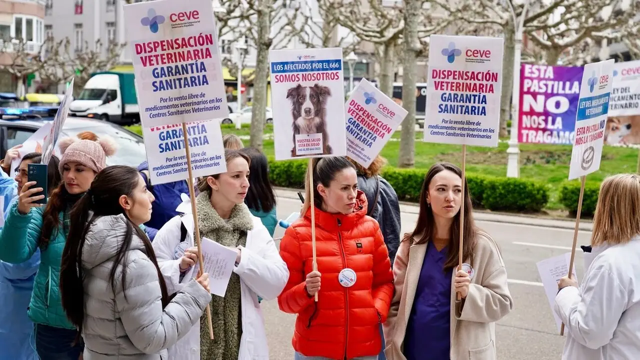 Concentración de los veterinarios de León contra el nuevo decreto que regula la dispensación y uso de medicamentos