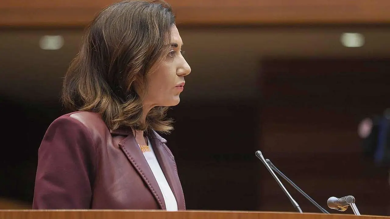 La procuradora de UPL, Alicia Gallego, durante su comparecencia.