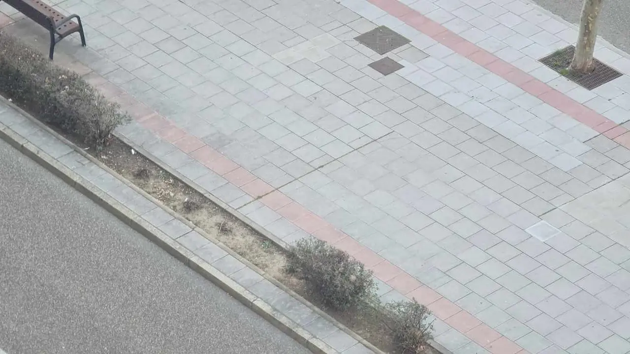 Los problemas de las zonas peatonales, obras y jardines forman el núcleo de las quejas de los leoneses.