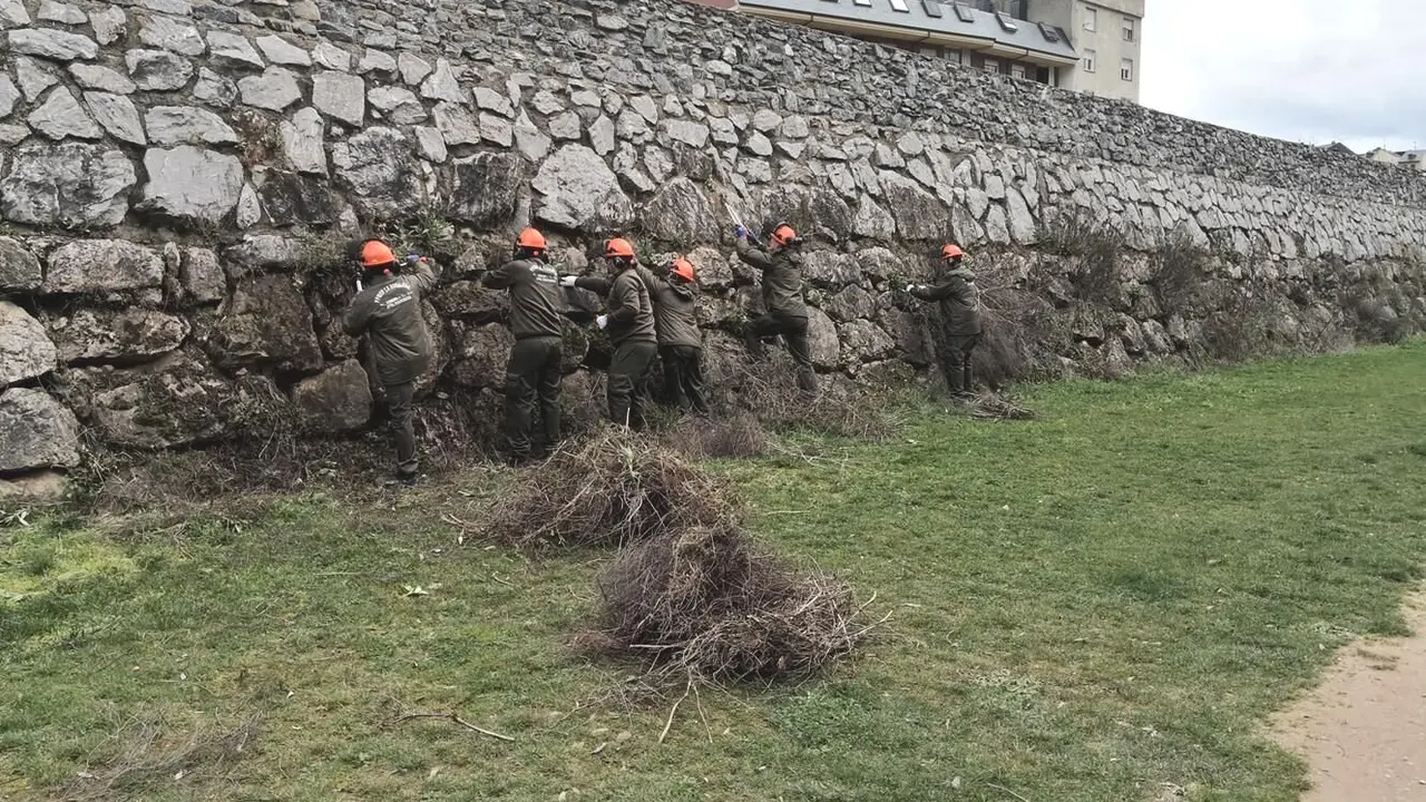 Trabajos de conservación margen río Sil.