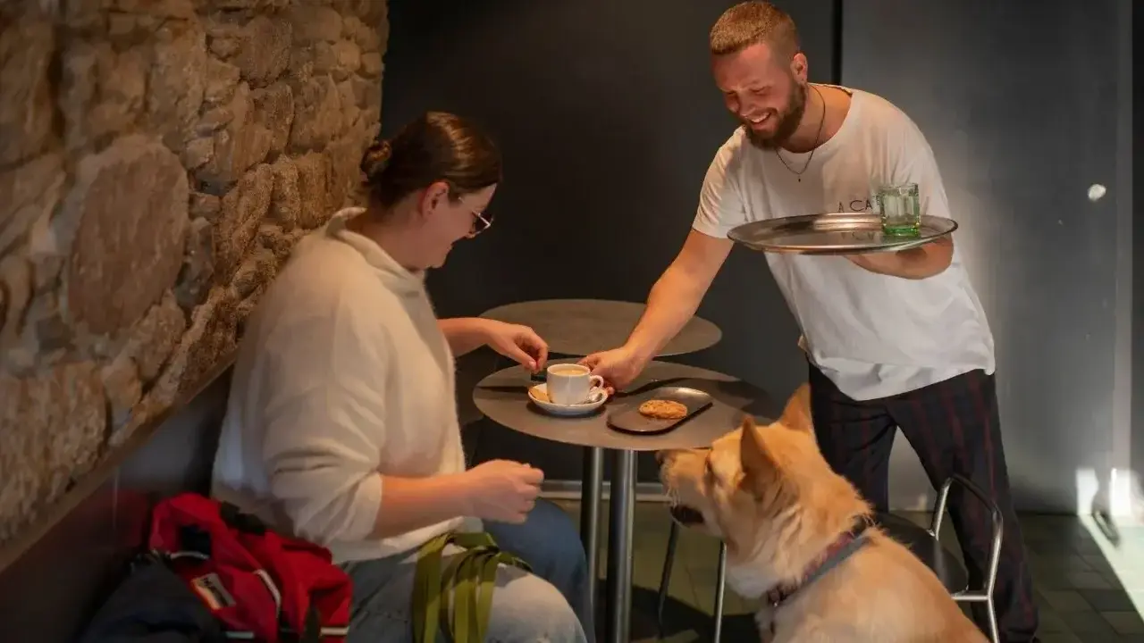 Soletes con mascota incluida para cuatro locales de hostelería de León.