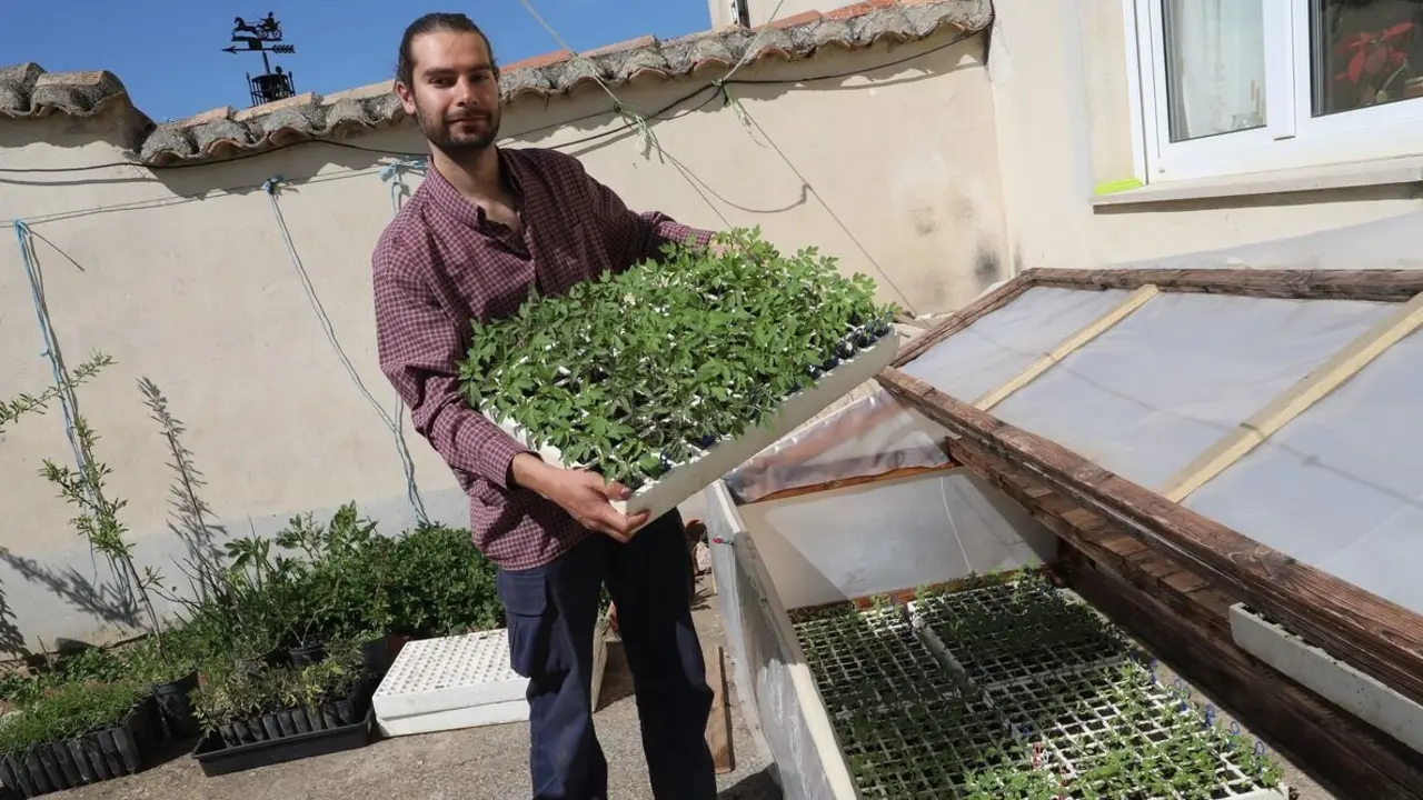 El capataz forestal, Emilio Medina Román, cultiva  hortalizas de secano en Villalcazar de Sirga(Palencia) como parte del proyecto de  recuperación y conservación de semillas, en la imagen su huerta de La Mielga donde ha cultivado diversas variedades de ajos