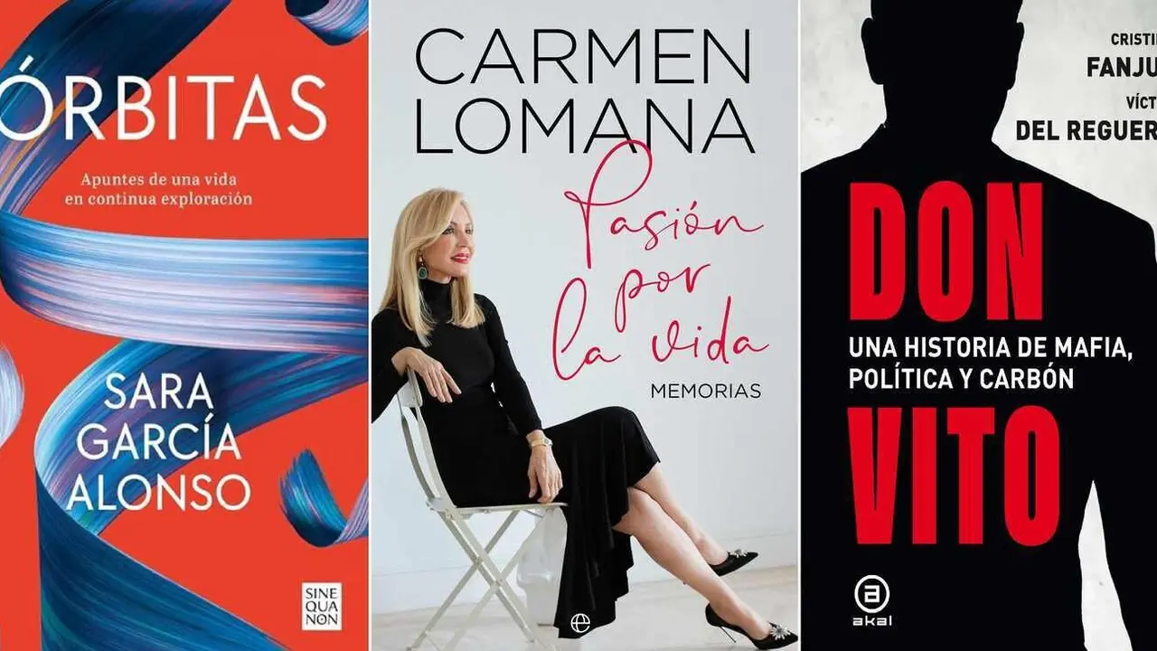 Imagen de tres de las portadas de los libros más vendidos en la provincia.