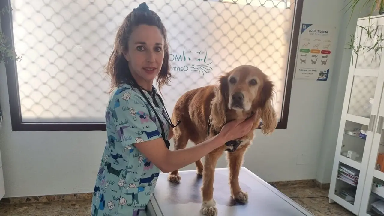 Eva Salas compagina su trabajo en el Centro Veterinario Morego con su labor en su propia asociación protectora Huellitas del Esla.