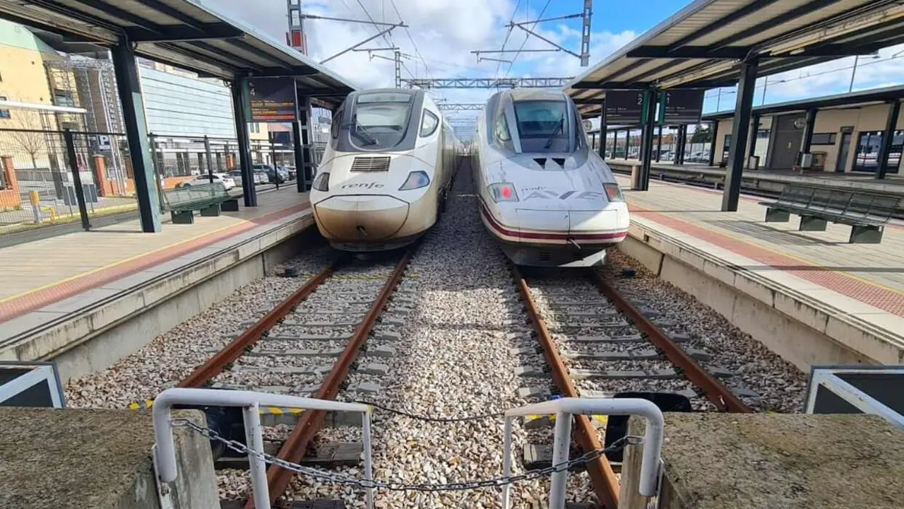 Imagen de un tren Alvia y un AVE en la estación de León. Foto: Heraldo de León