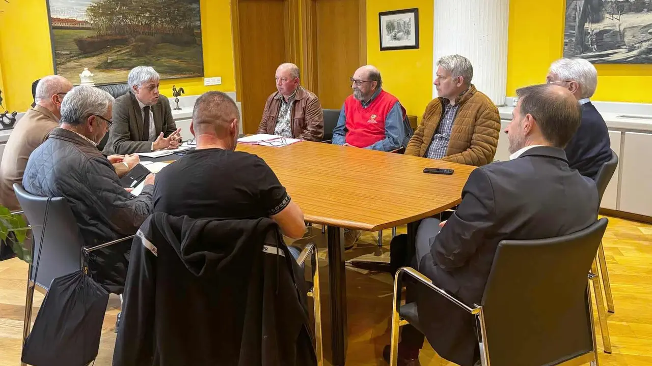 Un instante de la reunión mantenida por la directiva de la Plataforma Más Vuelos con el delegado de la Junta.