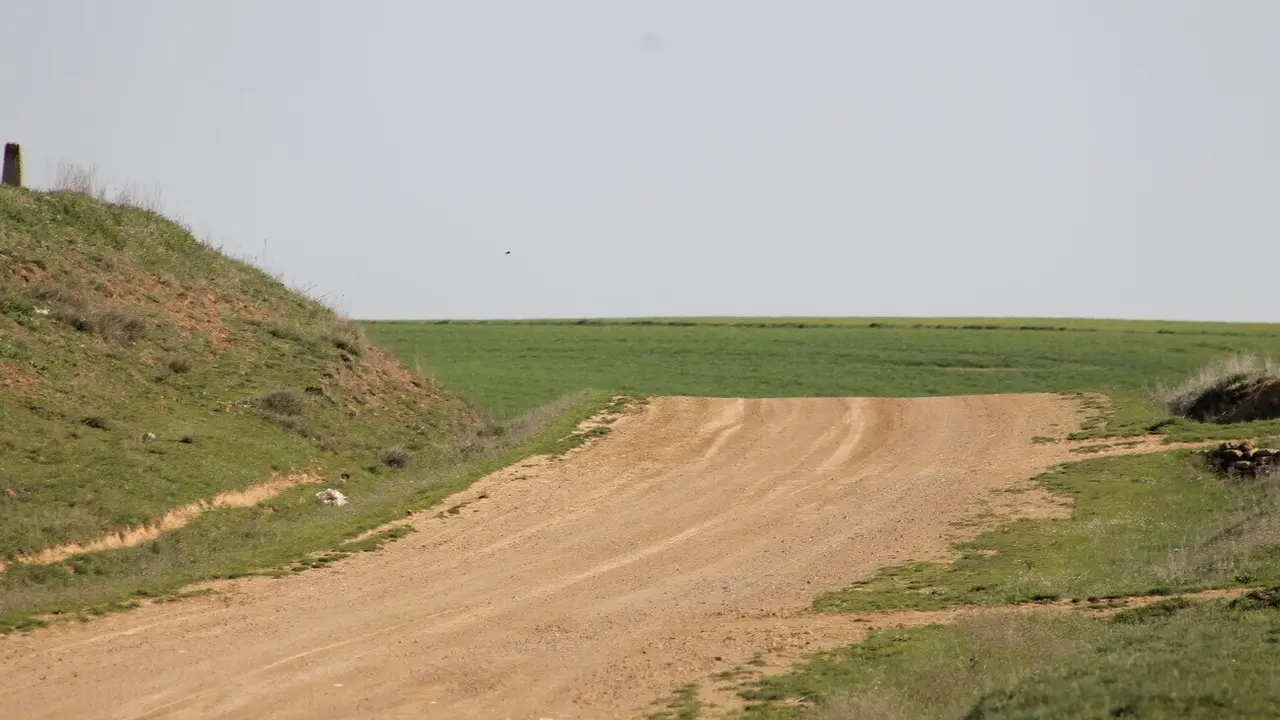 Imagen de archivo del campo.