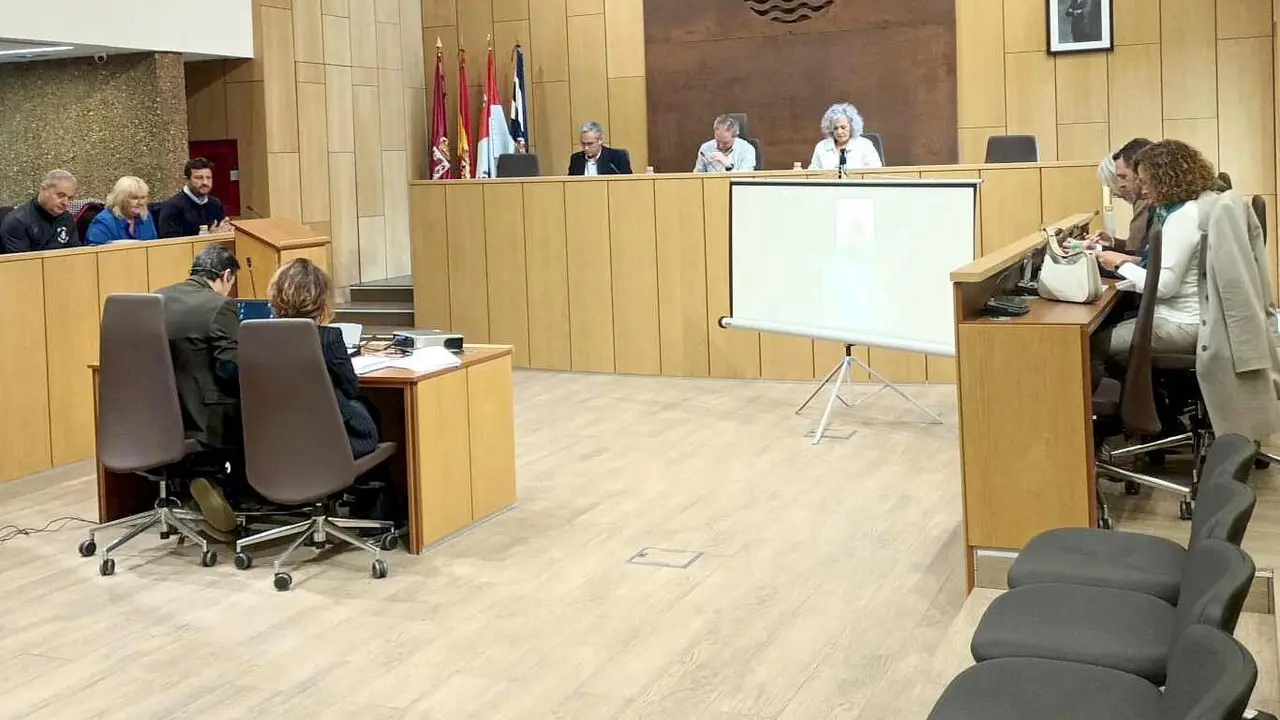 Un instante del pleno de Villaquilambre celebrado este jueves.