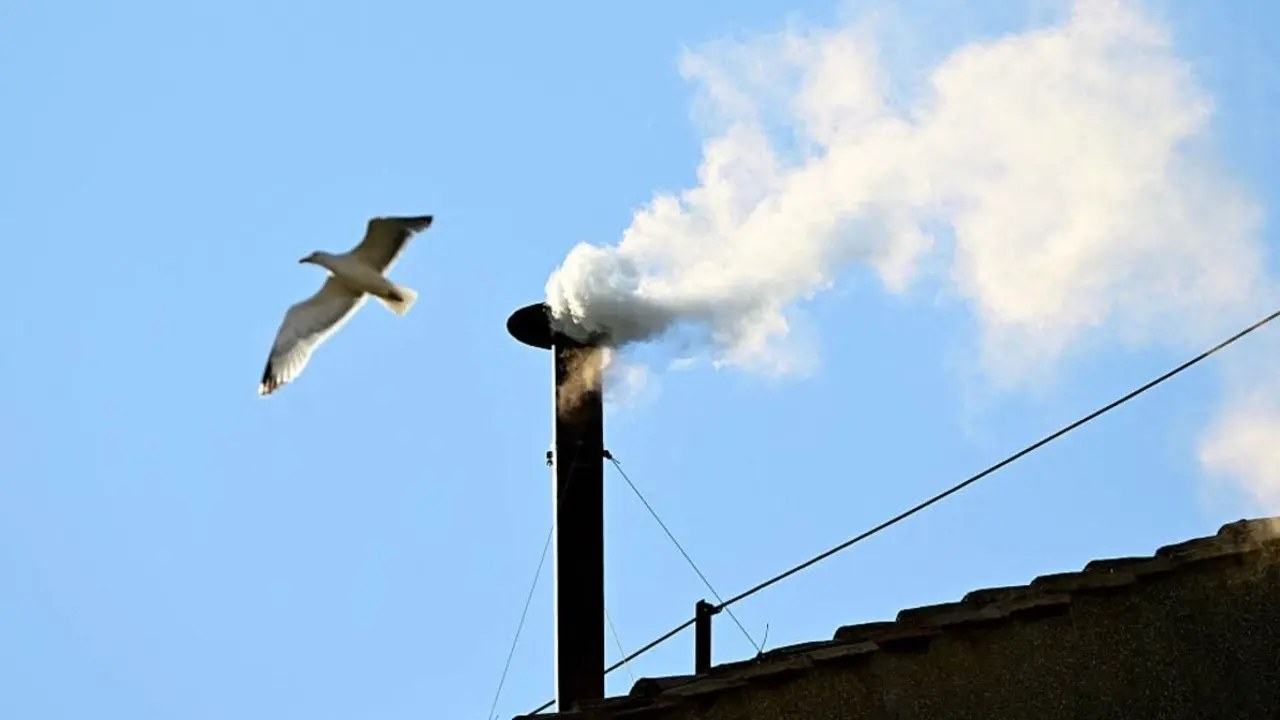 Una gaviota sobrevuela la chimenea con el humo blanco.