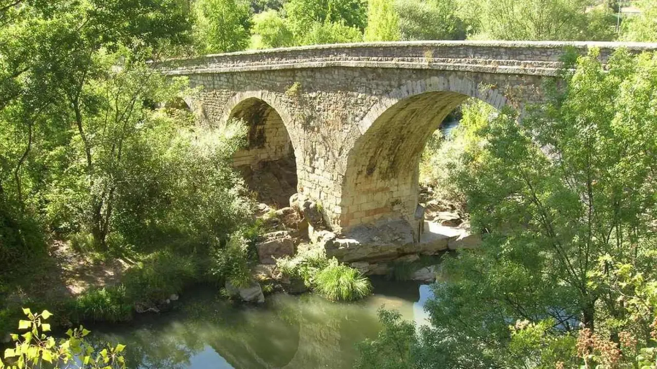 La Reserva de la Biosfera Alto Bernesga ha organizado la jornada “Visión y acción desde la Montaña”, una cita dirigida a empresas, autónomos, asociaciones y ciudadanos comprometidos con el desarrollo rural sostenible.