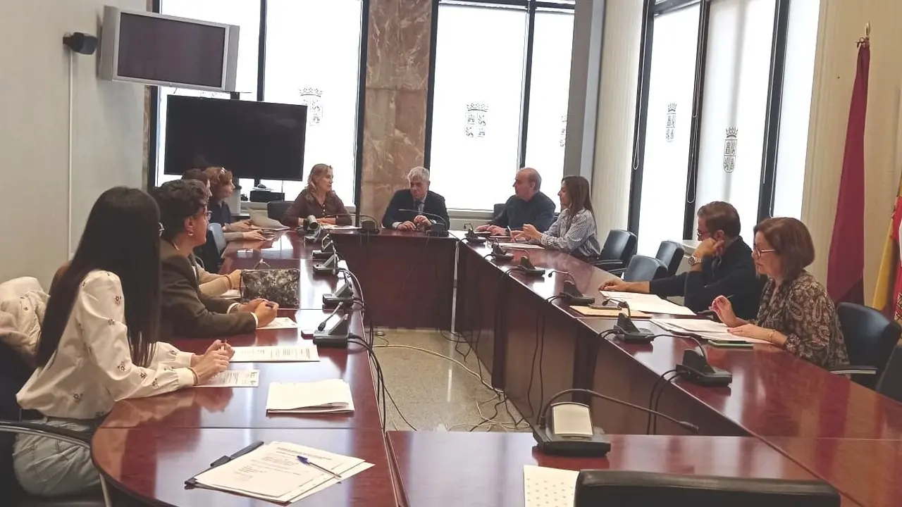 Imagen de la Comisión Hipoacusia.