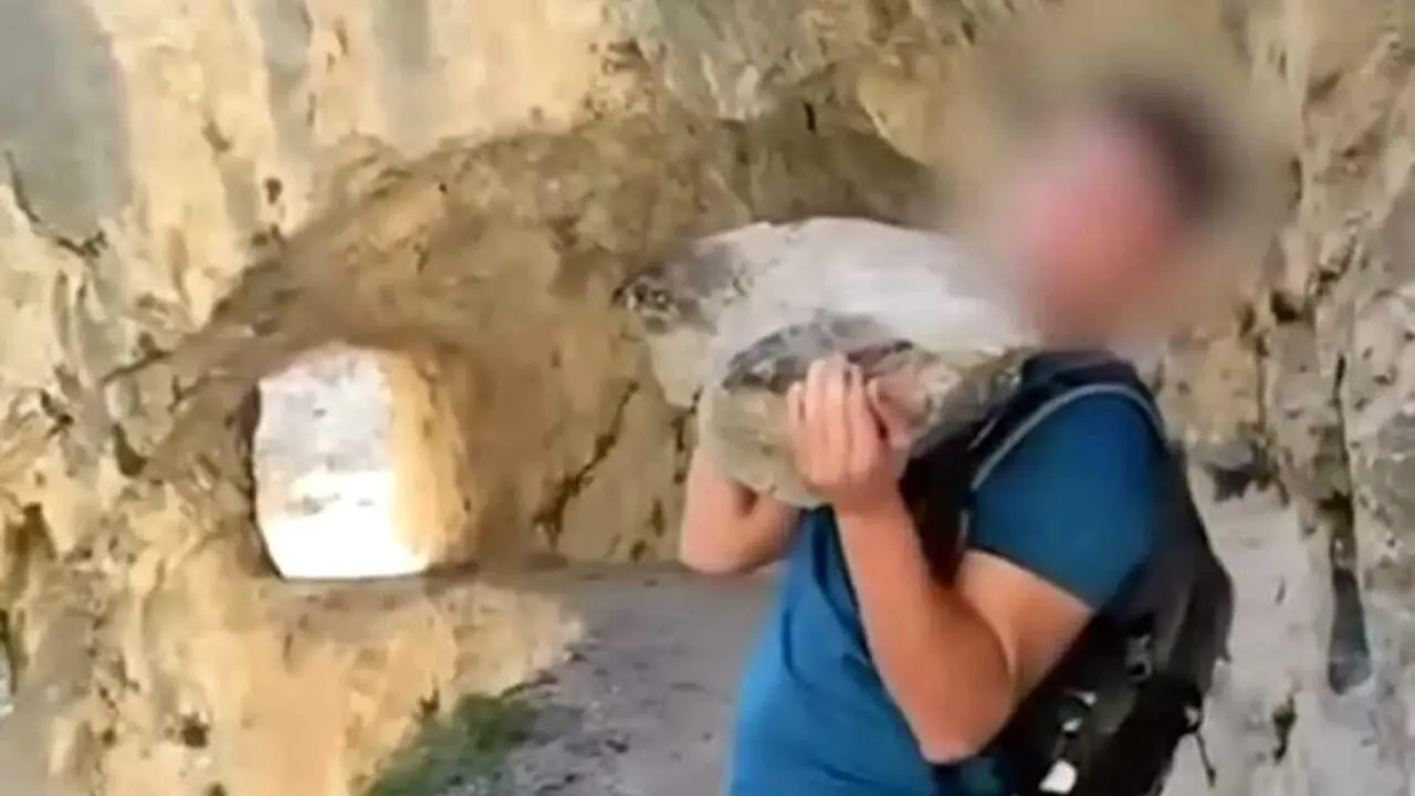 Imagen del joven que lanzó la piedra y al que la Guardia Civil advierte de la importante multa que puede recibir.